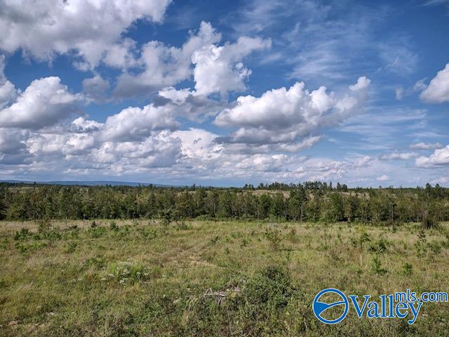 617 ACRES Beaird Road, Gadsden, Alabama image 4