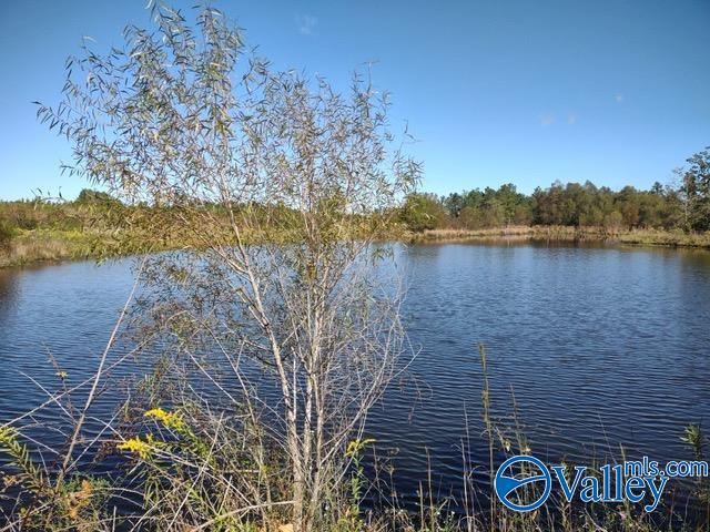 617 ACRES Beaird Road, Gadsden, Alabama image 10