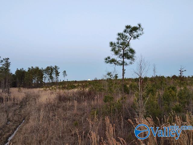 617 ACRES Beaird Road, Gadsden, Alabama image 3