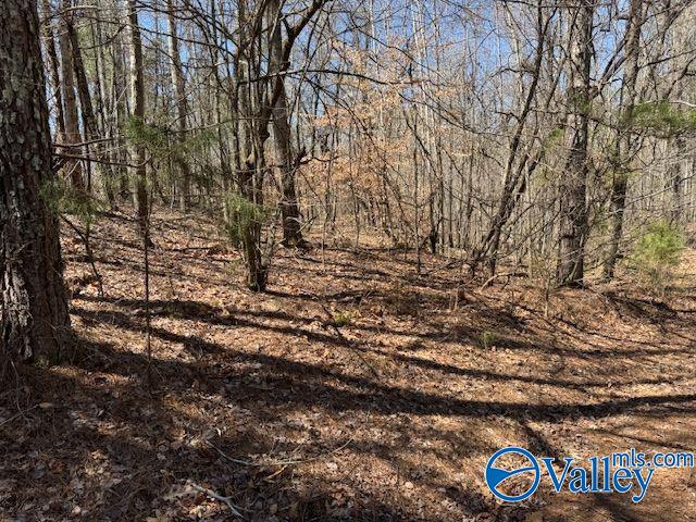 Lots 38 & 39 Shawnee Circle, Scottsboro, Alabama image 6