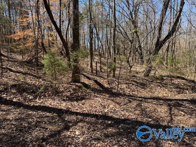 Lots 38 & 39 Shawnee Circle, Scottsboro, Alabama image 8
