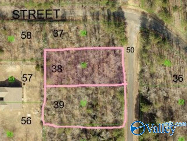 Lots 38 & 39 Shawnee Circle, Scottsboro, Alabama image 4