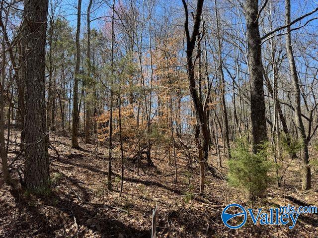 Lots 38 & 39 Shawnee Circle, Scottsboro, Alabama image 7