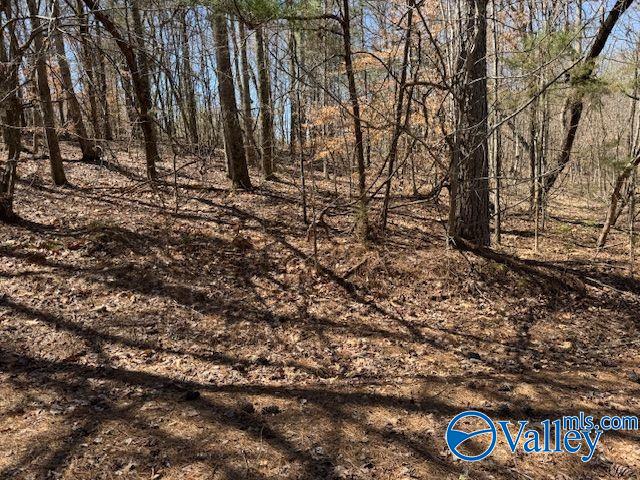 Lots 38 & 39 Shawnee Circle, Scottsboro, Alabama image 9