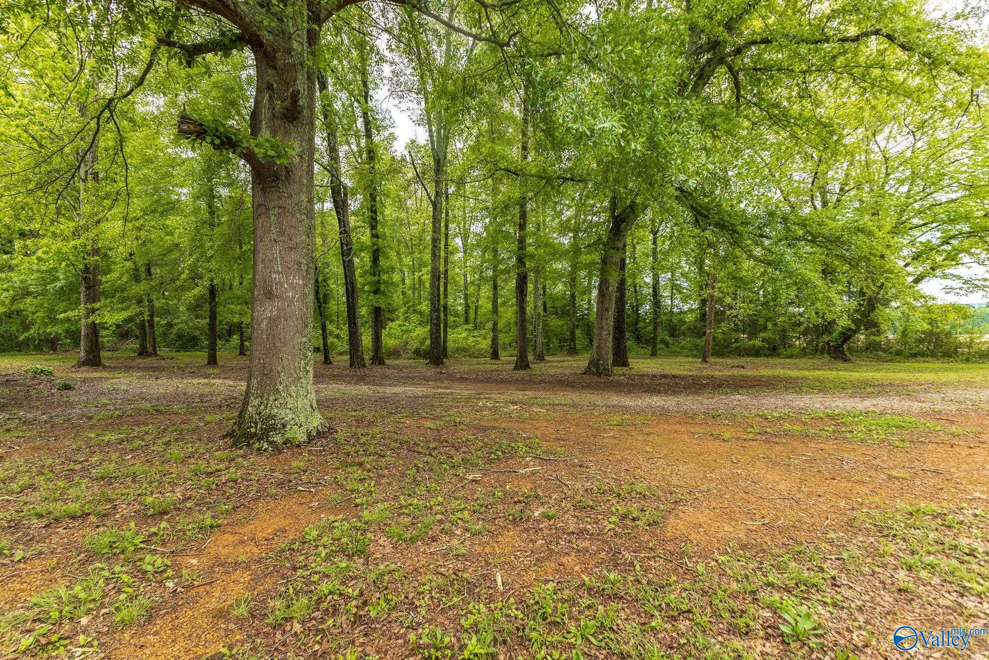 3780 Old Highway 431 Hwy, Owens Cross Roads, Alabama image 27