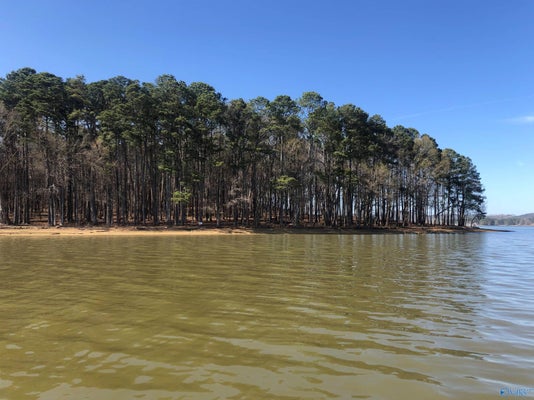 LOT 9 LITTLE RIVER LANDING, CEDAR BLUFF, AL 35959 - Image ee2eafc86b8995a747e8f9716cc2a4de/1296330199