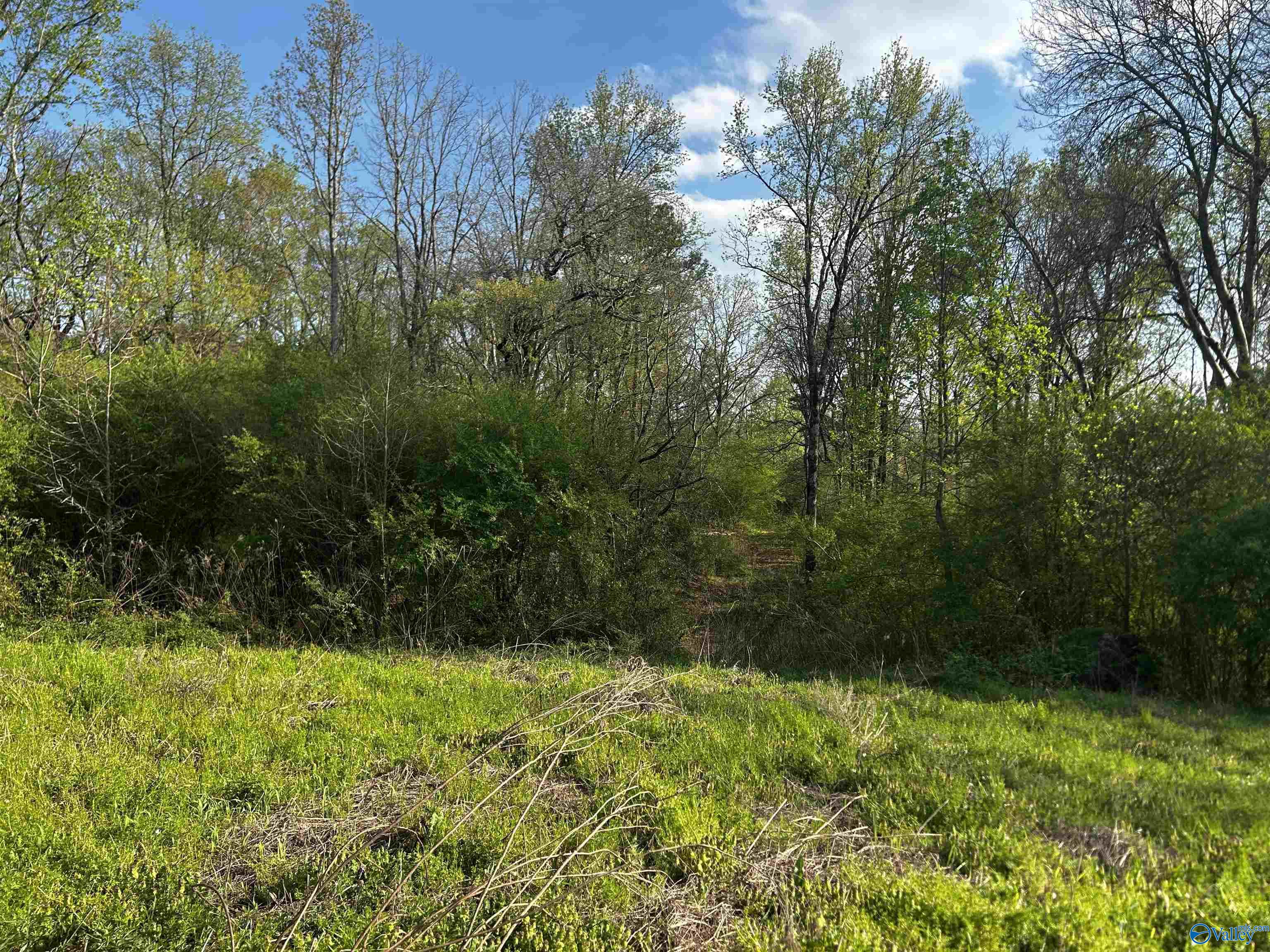 2676 County Road 1107