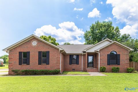 Homes For Sale - 100 Happy Circle<br/> Madison County, Huntsville, AL 35811