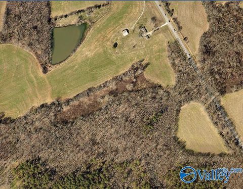 Vacant Land For Sale - 17.50A Hwy 53<br/> Ardmore, AL 35739