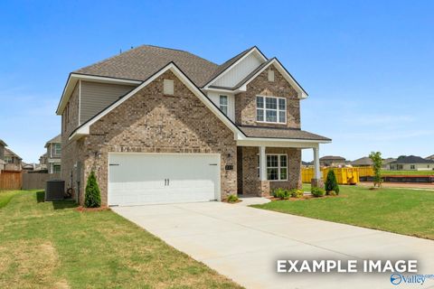 Photo of 119 Cotita Drive, Toney, AL 35773 (MLS # 21917250)