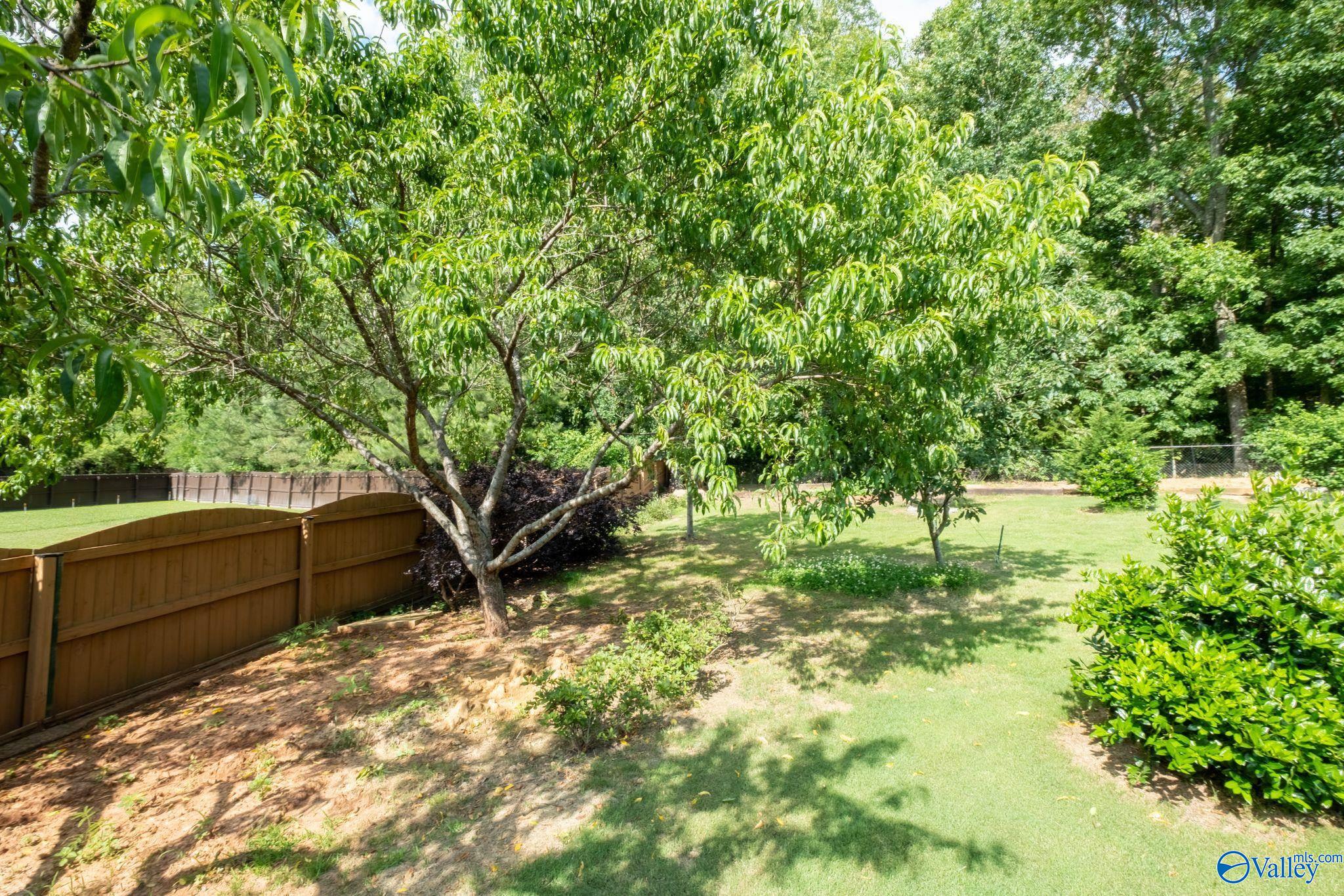 169 Kaylee Loop Road, Hartselle, Alabama image 46