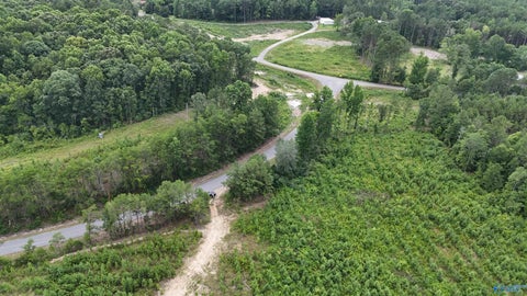 Vacant Land For Sale - 005 County Road 921<br/> Gaylesville, AL 35973