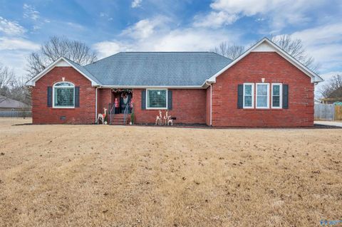 Homes For Sale - 221 Darsey Court<br/> Madison County, Meridianville, AL 35759