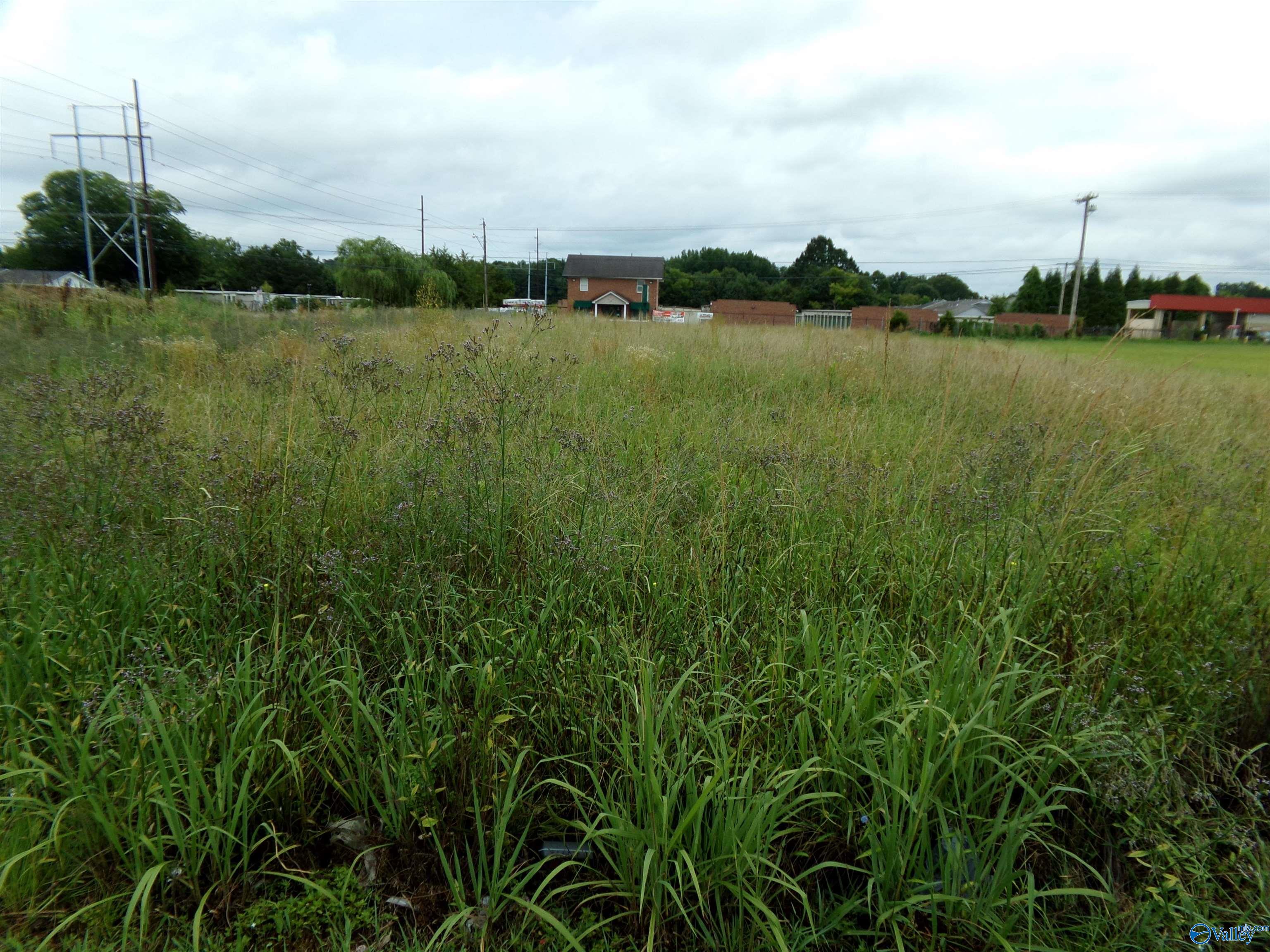 Lot005 Sandlin Road, Decatur, Alabama image 1