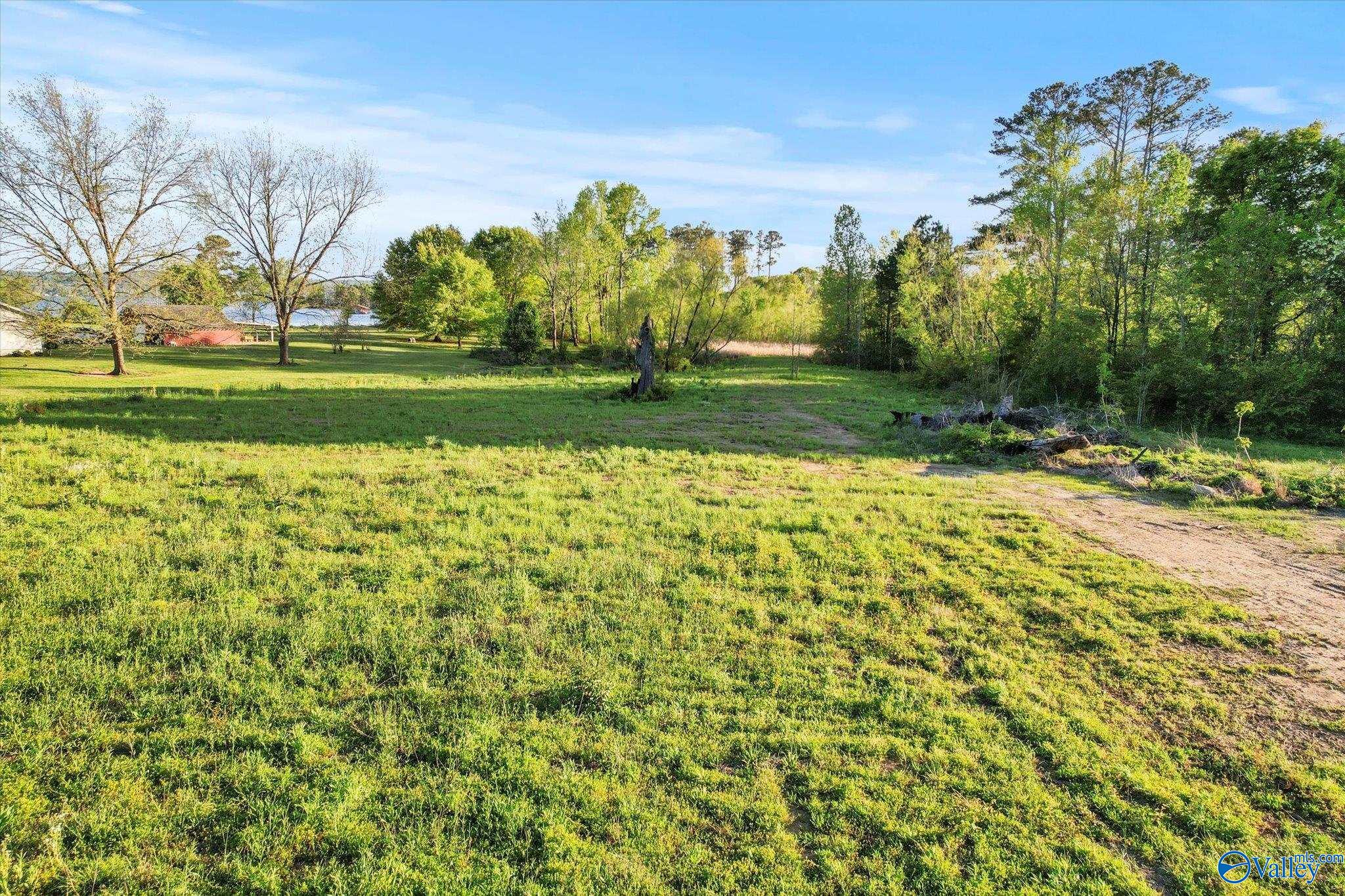 Lot 9 Oak Place, Guntersville, Alabama image 8