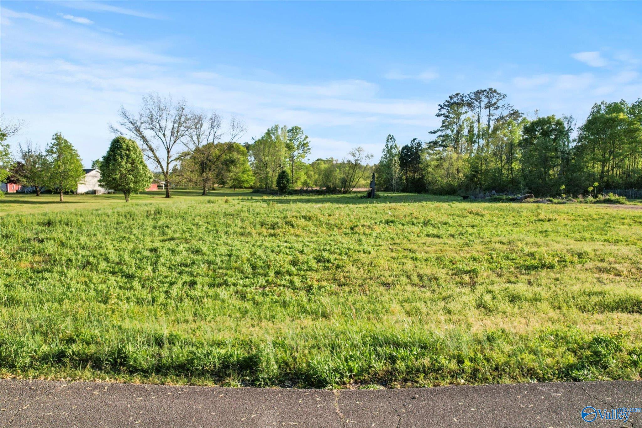 Lot 9 Oak Place, Guntersville, Alabama image 5