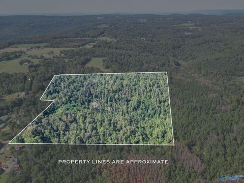 Vacant Land For Sale - 35 ACRES Pine Ridge Road<br/> Union Grove, AL 35175