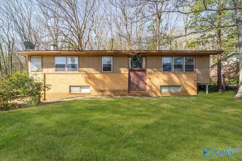 Photo of 612 Mountain Gap Drive SE, Huntsville, AL 35803 (MLS # 21912344)