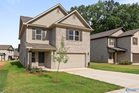 27730 Whitechapel Lane Harvest AL 35749
