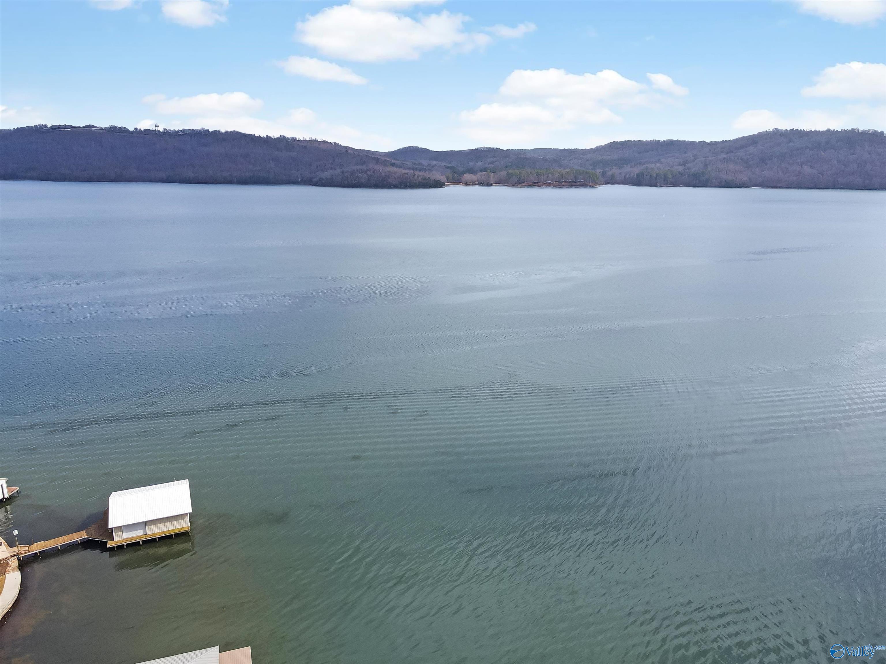 3635 Buck Island Drive, Guntersville, Alabama image 8