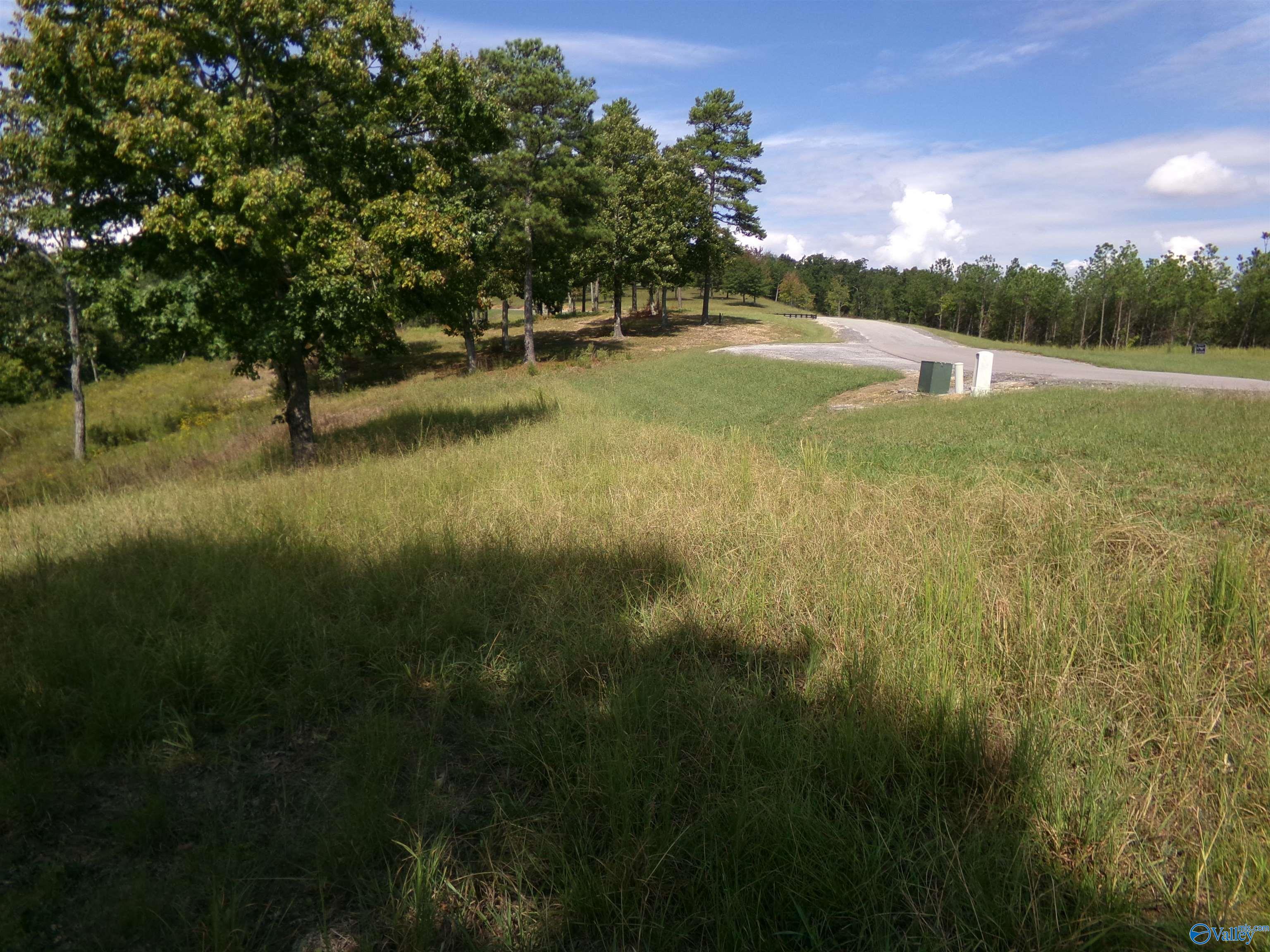 Lot 51 County Road 767, Cedar Bluff, Alabama image 9