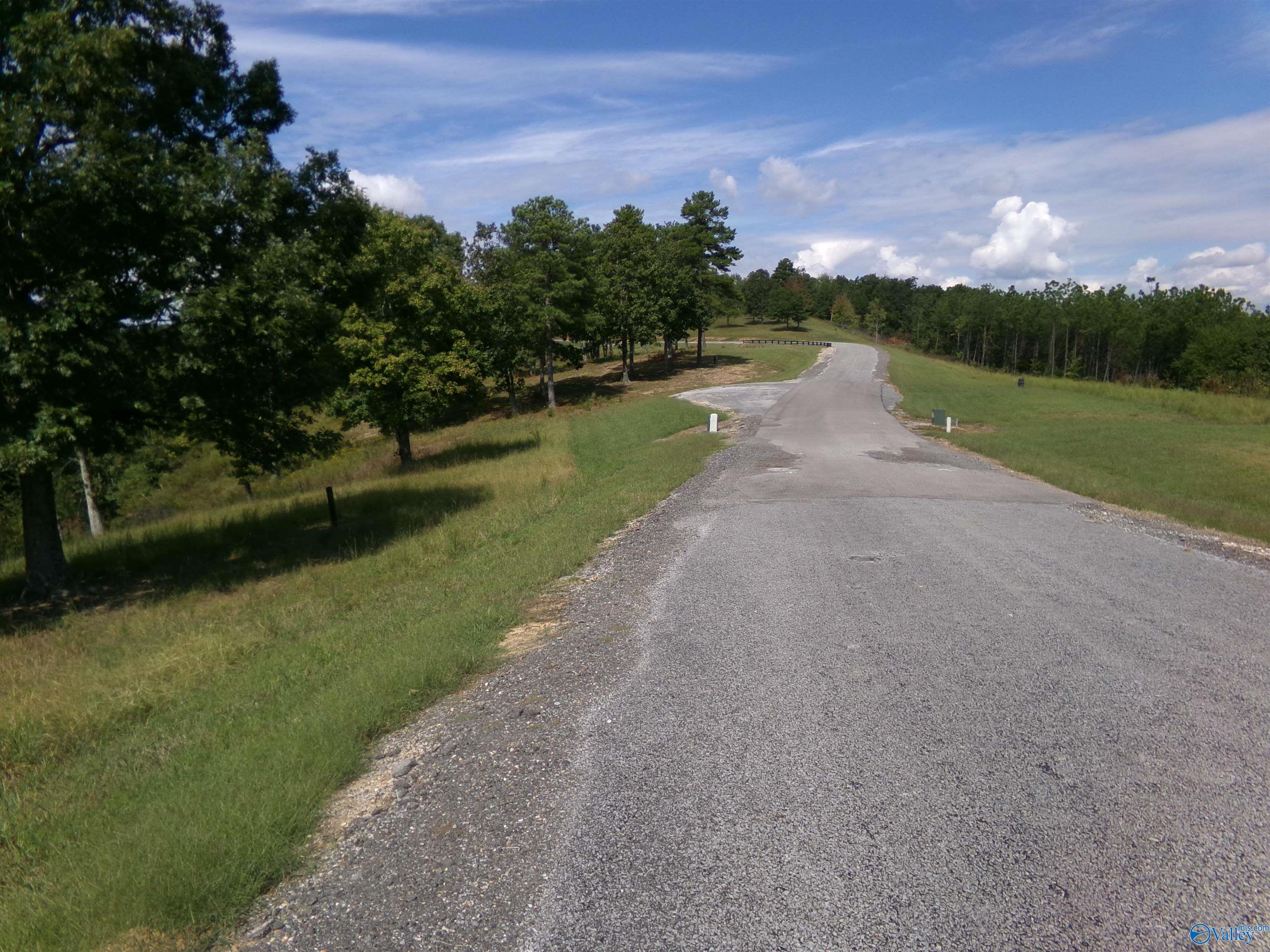 Lot 51 County Road 767, Cedar Bluff, Alabama image 6