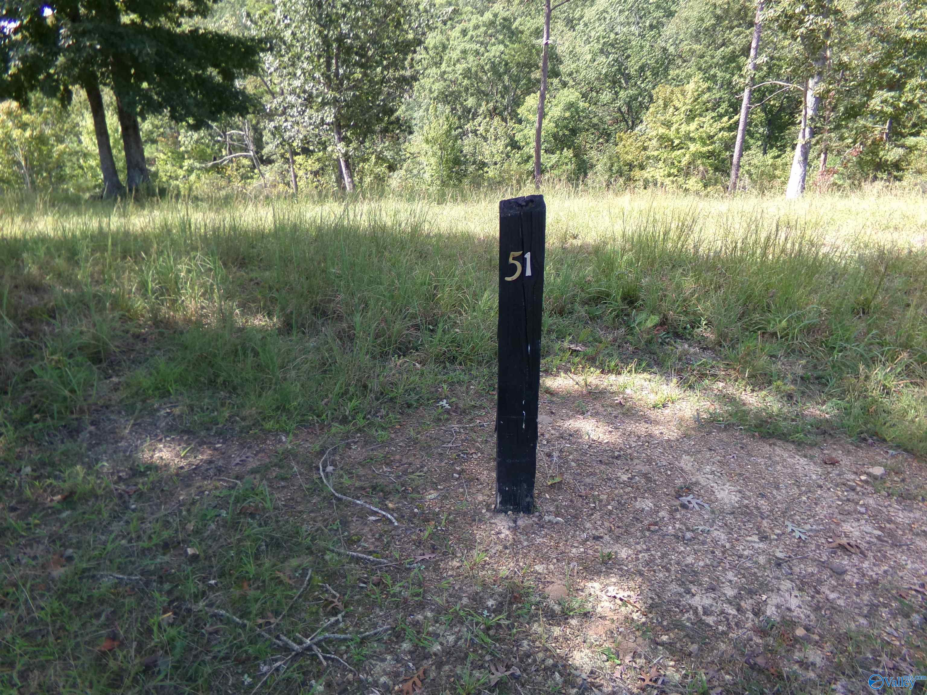 Lot 51 County Road 767, Cedar Bluff, Alabama image 8