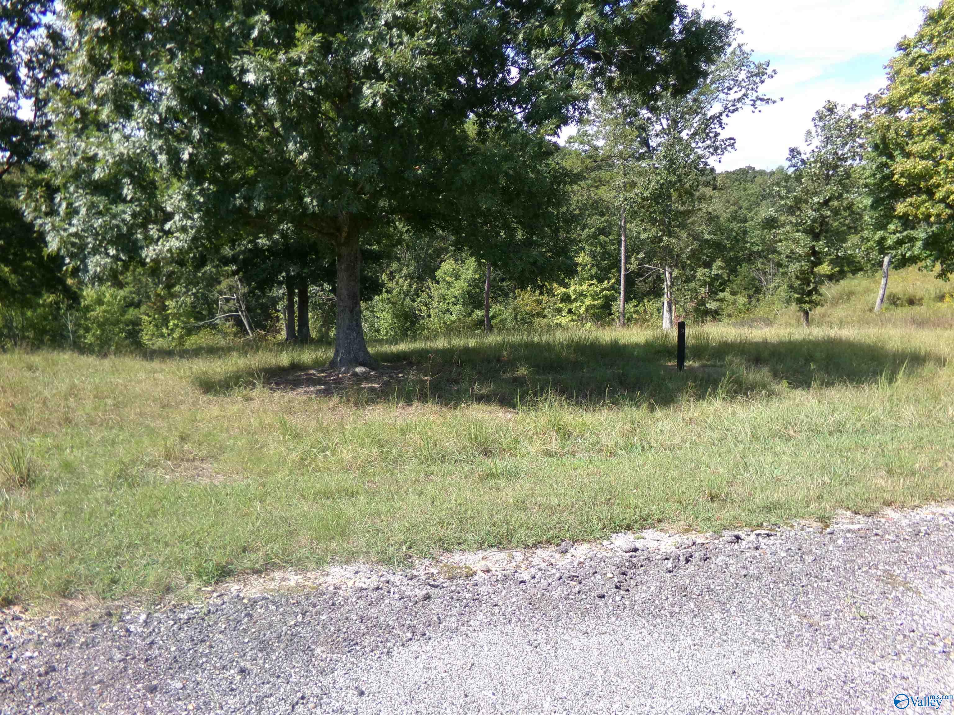 Lot 51 County Road 767, Cedar Bluff, Alabama image 7