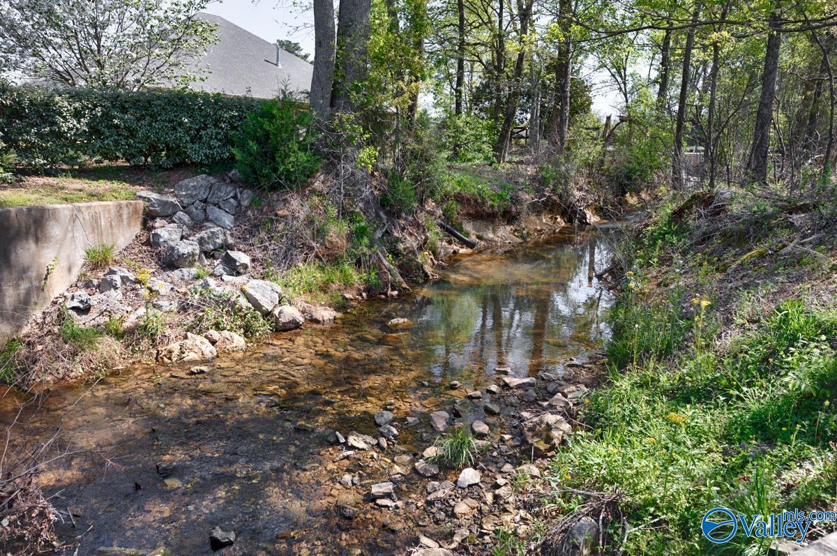 205 Maplebrook Drive, Madison, Alabama image 4