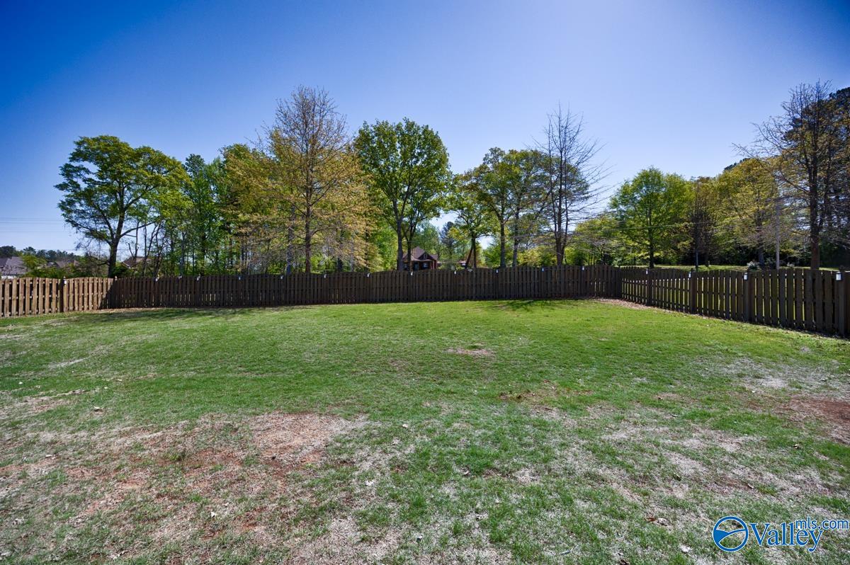 205 Maplebrook Drive, Madison, Alabama image 42