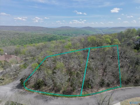 Vacant Land For Sale - 29 Asbury Road<br/> Madison County, Huntsville, AL 35801