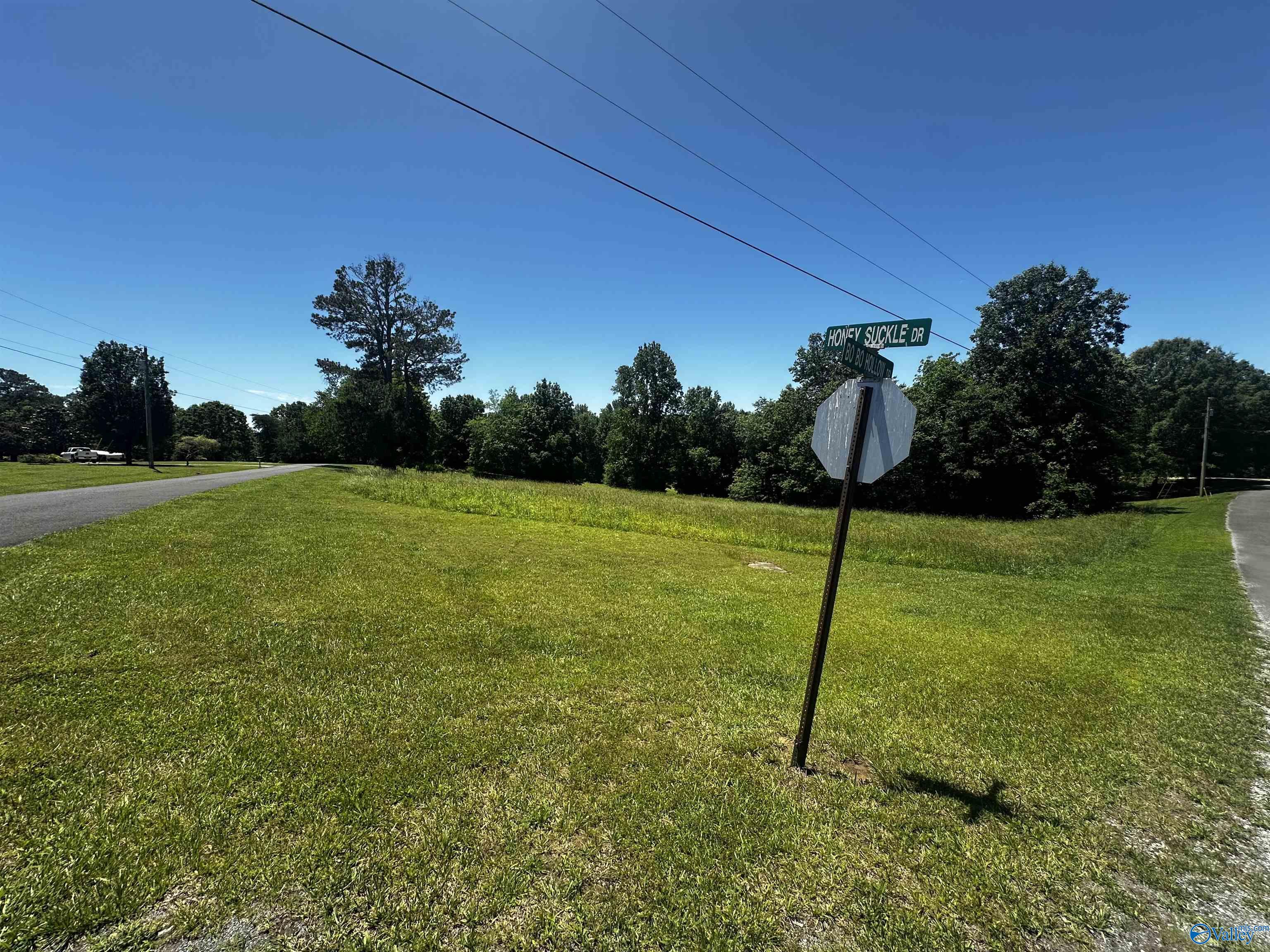 Lot 22 Honeysuckle Drive, Rainsville, Alabama image 6