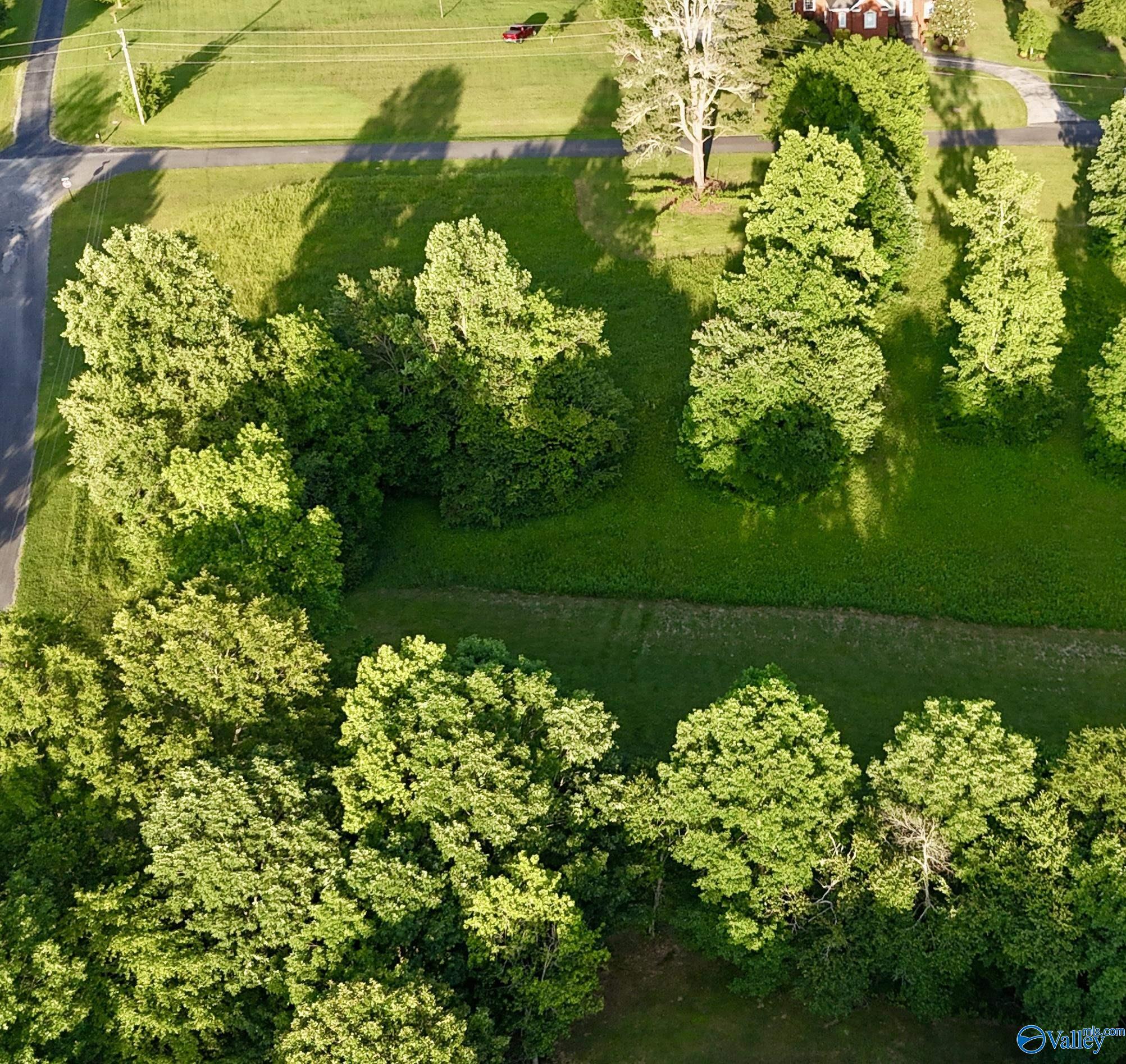 Lot 22 Honeysuckle Drive, Rainsville, Alabama image 2