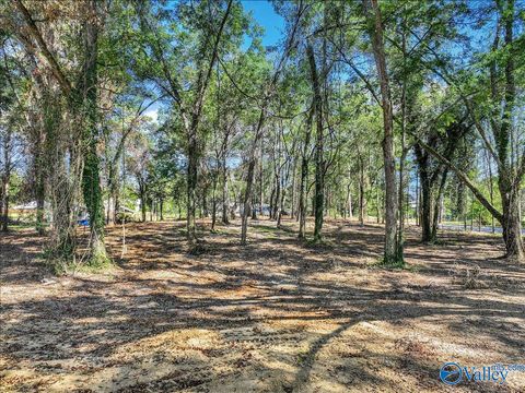 Vacant Land For Sale - 107 Convent Road<br/> Cullman County, Cullman, AL 35055