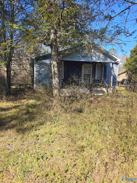 Homes For Sale - 103 County Road 166<br/> Stevenson, AL 35772