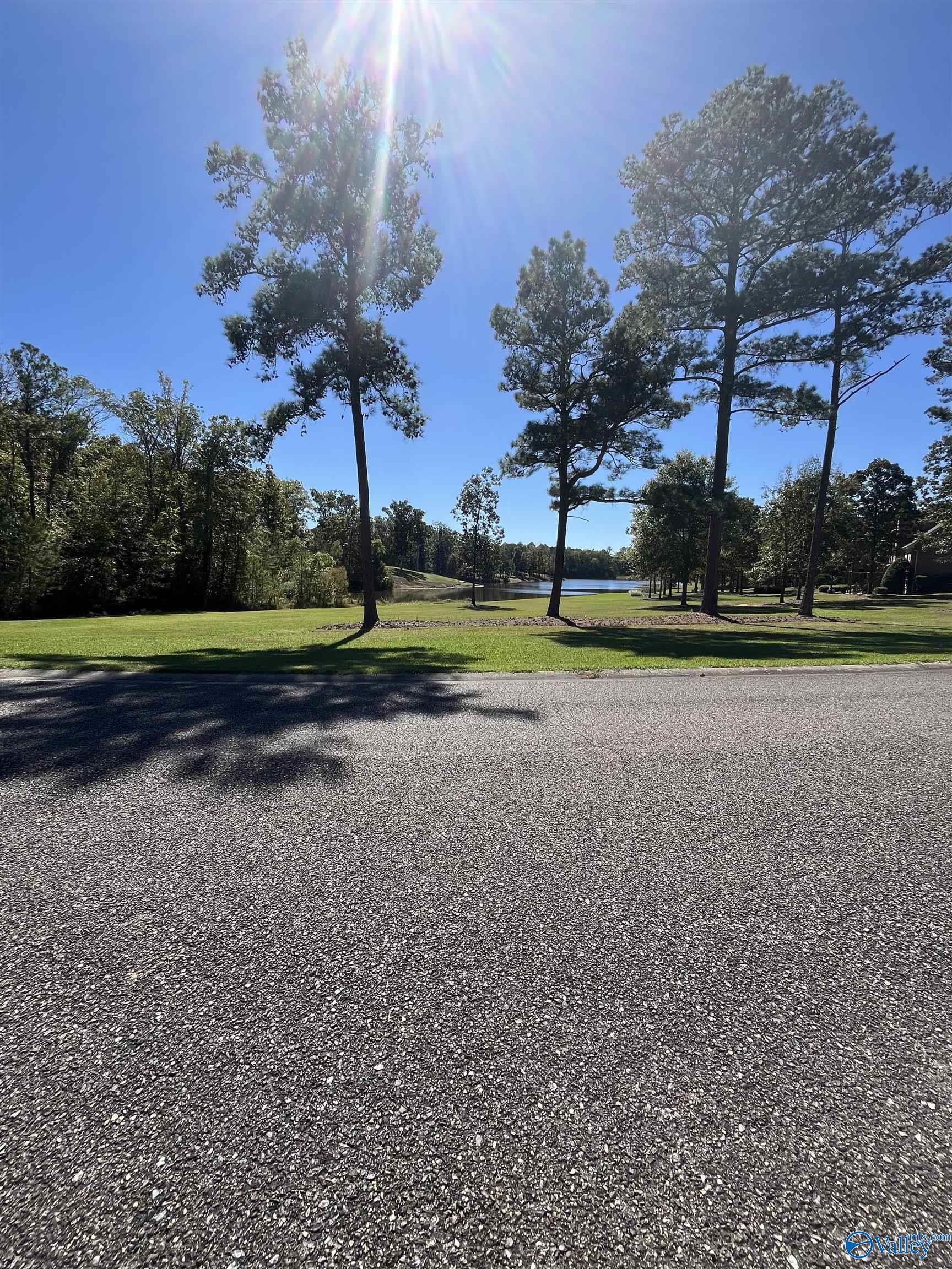 Lot 8 Raintree Drive, Centre, Alabama image 6