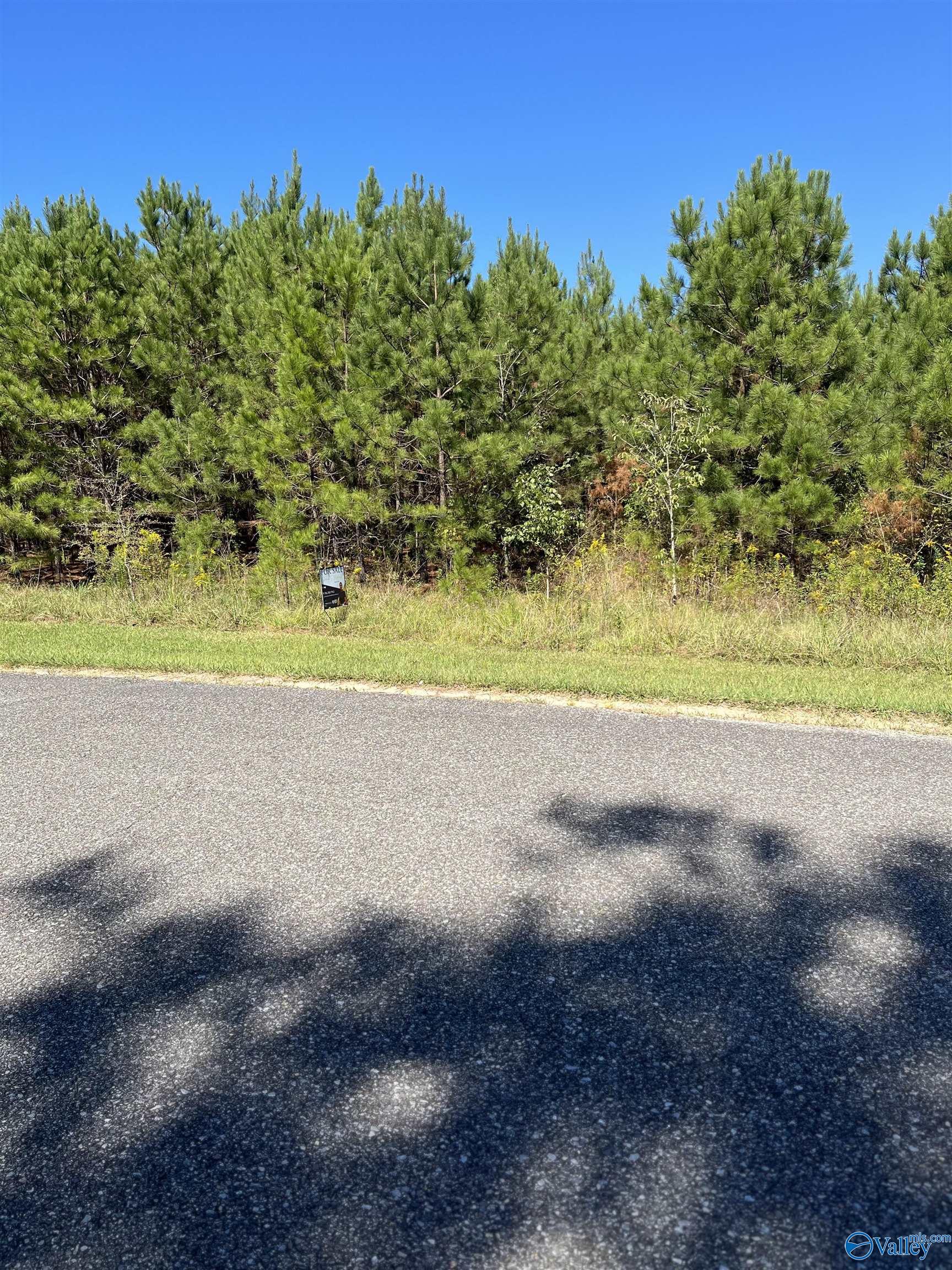 Lot 8 Raintree Drive, Centre, Alabama image 4