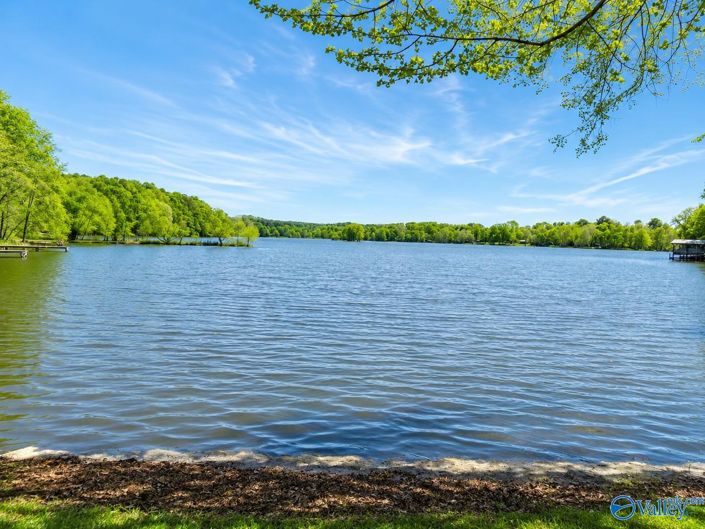 380 County Road 609 Lot 9 - Photo 2