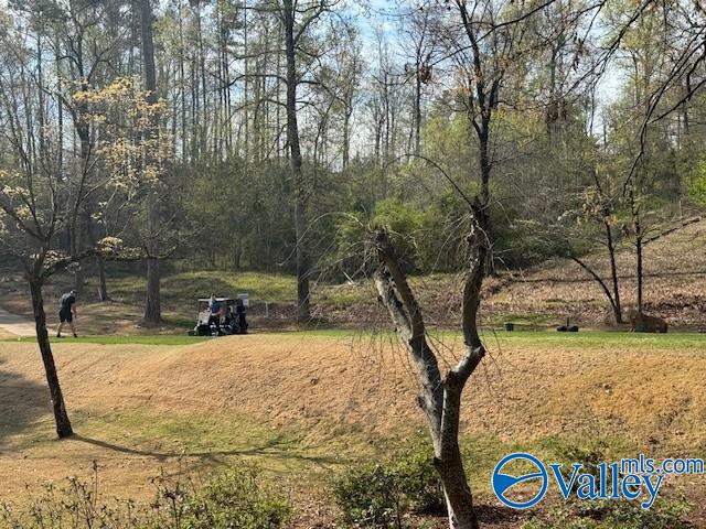 Lot 62 Heritage Drive, Guntersville, Alabama image 1