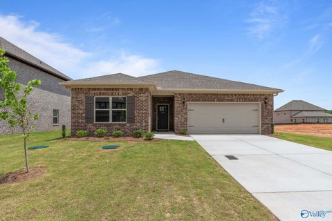 Homes For Sale - 1234 Striker Lane<br/> Harvest, AL 35749