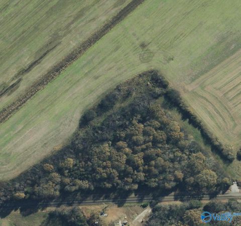 Vacant Land For Sale - 1 Highway 65<br/> Jackson County, Paint Rock, AL 35764