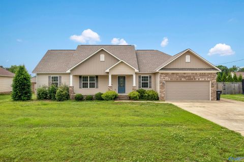 Homes For Sale - 1690 Sturkietown Road<br/> Southside, AL 35907