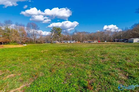 Homes For Sale - 13808 Highway 231/431<br/> Hazel Green, AL 35750