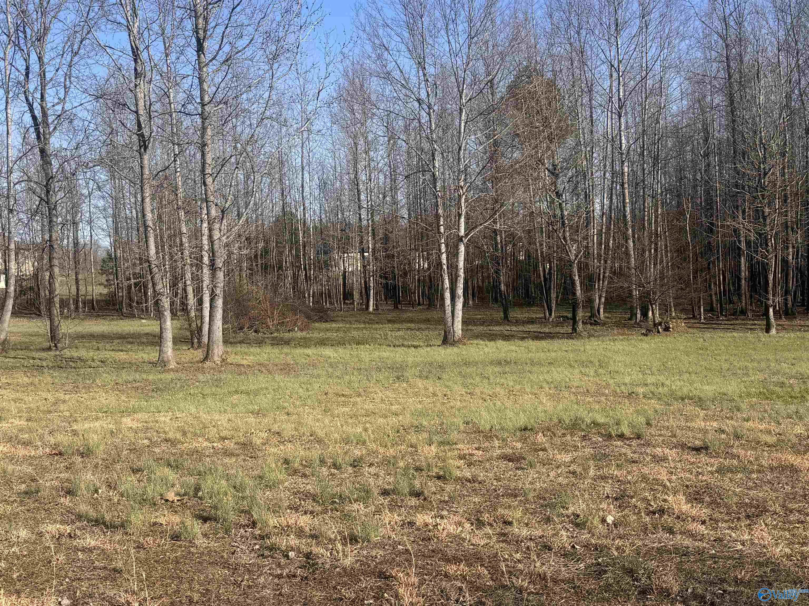 211 Macedonia Road, Ardmore, Alabama image 9