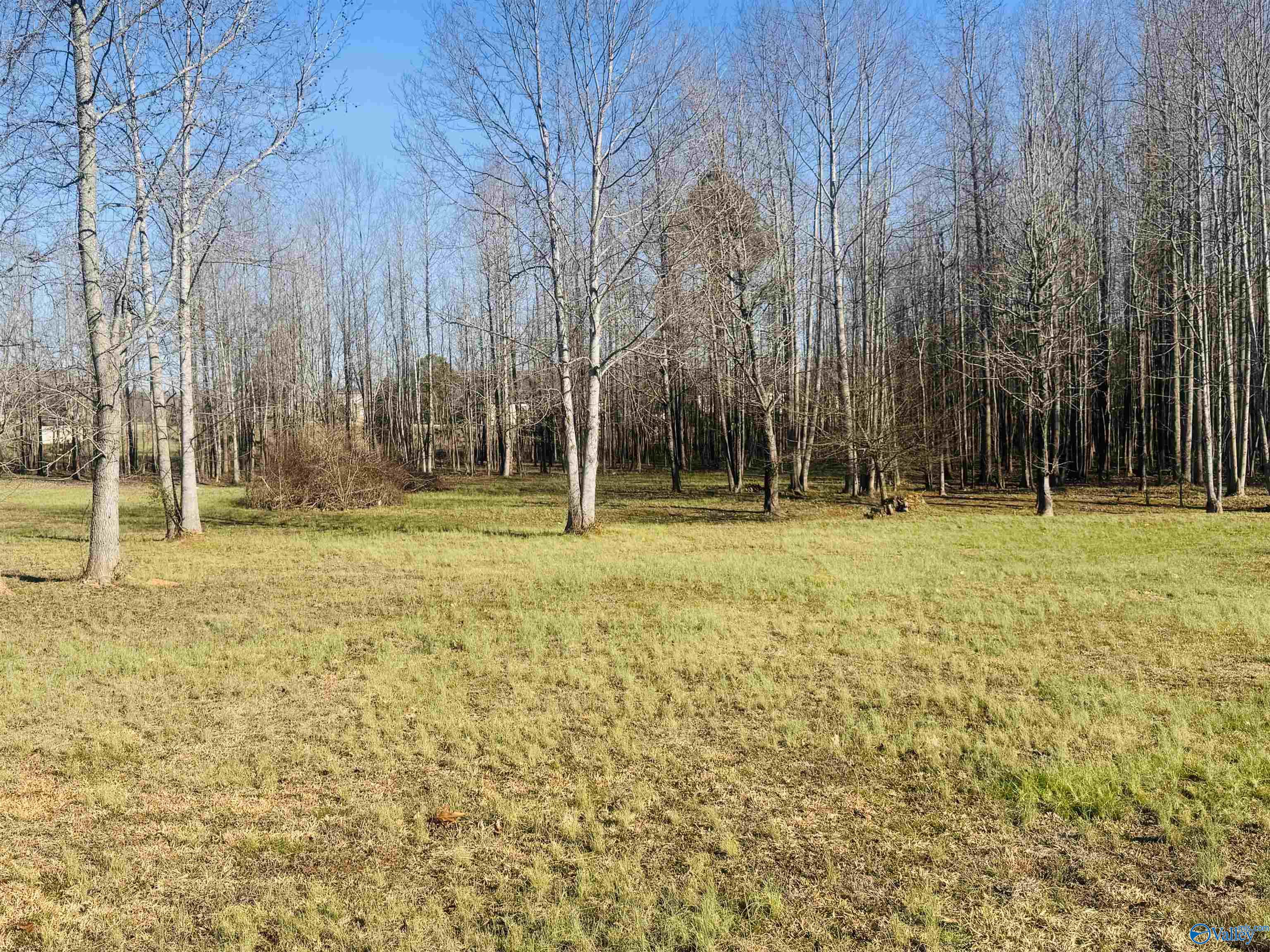 211 Macedonia Road, Ardmore, Alabama image 7