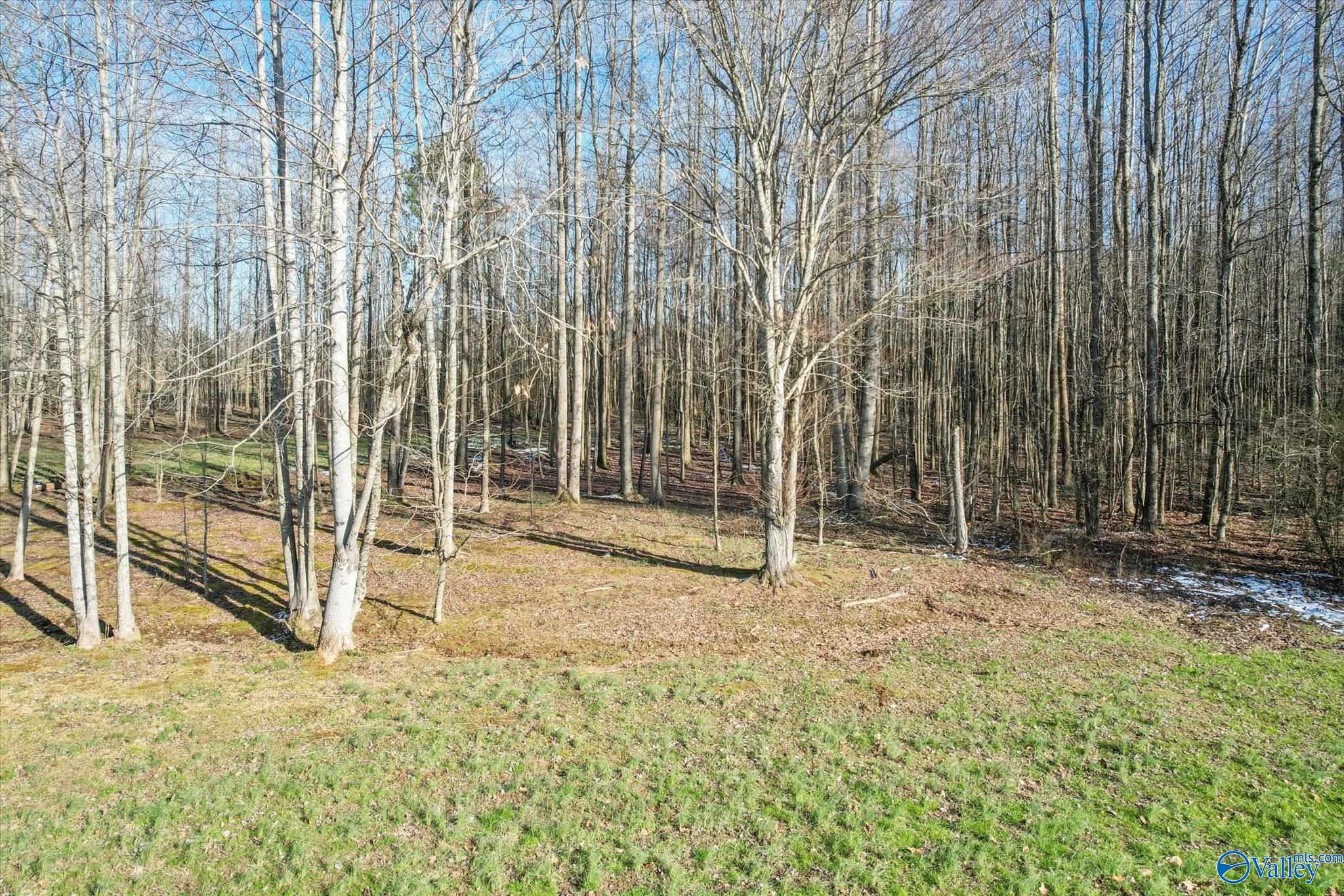 211 Macedonia Road, Ardmore, Alabama image 12