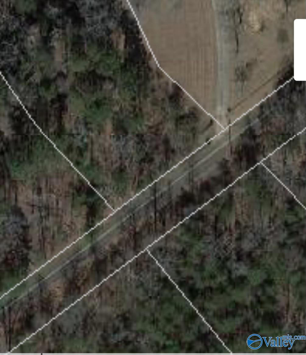 10 Acres Scenic Highway, Gadsden, Alabama image 3