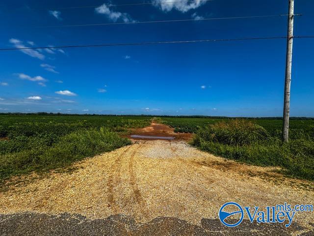 480 Acres 6th Street, Leighton, Alabama image 2