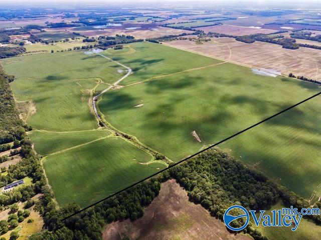 480 Acres 6th Street, Leighton, Alabama image 5