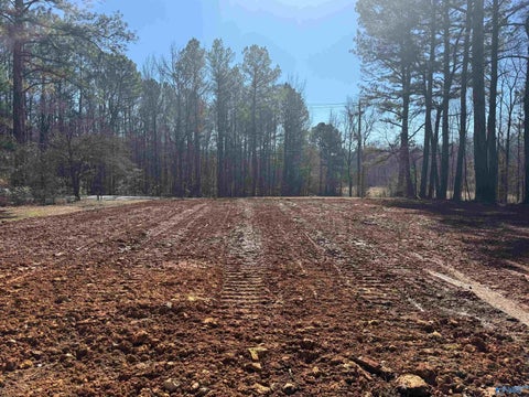 Vacant Land For Sale - 17315 Alabama Highway 251<br/> Athens, AL 35613